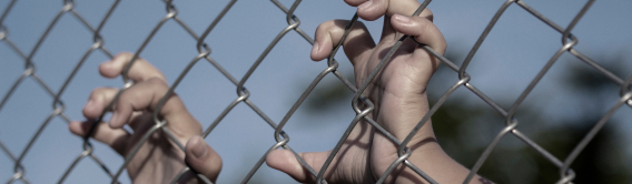 child's hands holding onto a metal fence